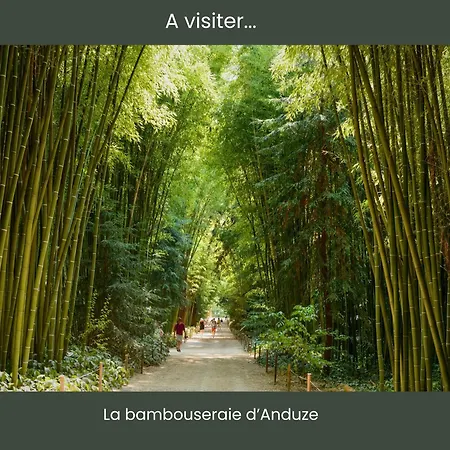 Lägenhet Le Cosy Cevenol - Jardin Et Terrasse